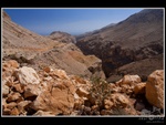 oman_012.jpg