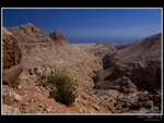 oman_013.jpg