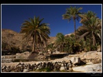 oman_072.jpg