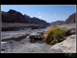 oman_186.jpg