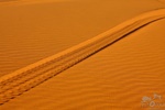 tuareg2011219.jpg