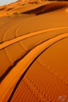 tuareg2011221.jpg