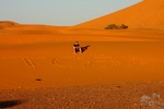 tuareg2011233.jpg