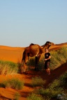 tuareg2011237.jpg