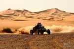 tuareg2011249.jpg