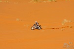 tuareg2011263.jpg