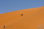 tuareg2011267.jpg
