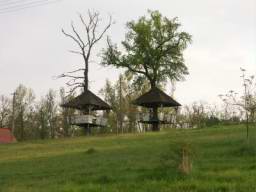 DSC04137.JPG