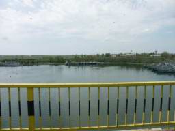 DSC04187.JPG