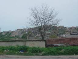 DSC04192.JPG