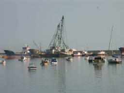 DSC04245.JPG