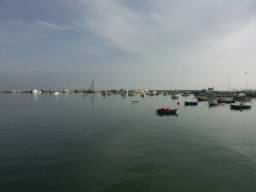 DSC04246.JPG