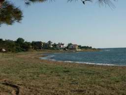 DSC04339.JPG