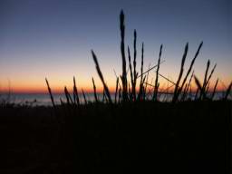 DSC04354.JPG