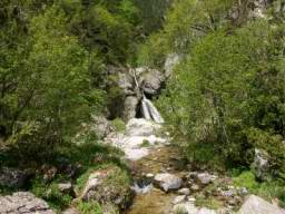 DSC04411.JPG