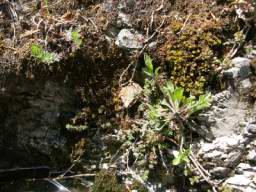 DSC04420.JPG