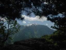 DSC04435.JPG