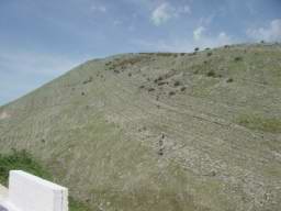 DSC04483.JPG