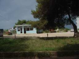 DSC04491.JPG