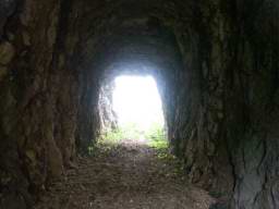 DSC04558.JPG