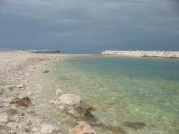 DSC04601.JPG