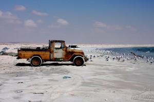 IMG_1097