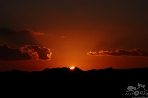 IMG_1193